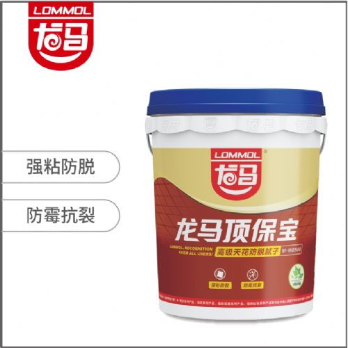 龍馬頂保寶（防水膩?zhàn)樱㎝-WB500
